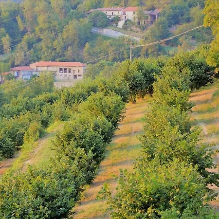 Cascina - Tra Le Nocciole * Levice