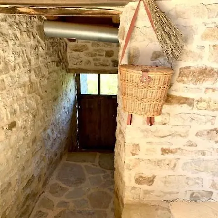 Cascina - Tra Le Nocciole * Levice