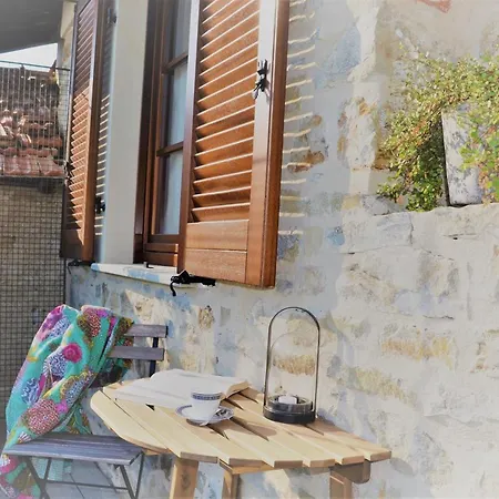 Cascina - Tra Le Nocciole Levice