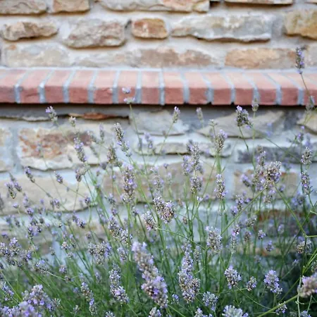 Cascina - Tra Le Nocciole Апартаменты