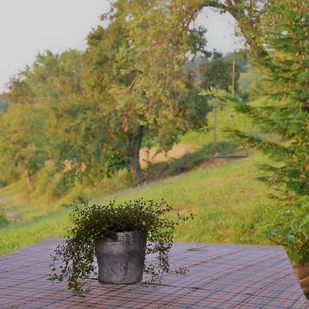 Cascina - Tra Le Nocciole شقة Levice