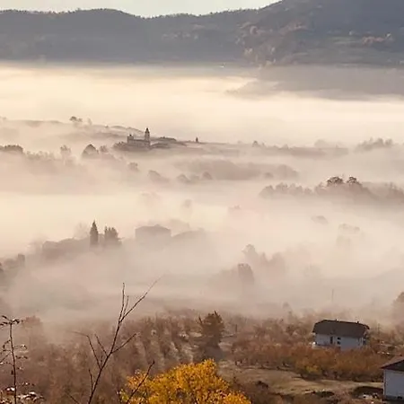 Cascina - Tra Le Nocciole * Levice
