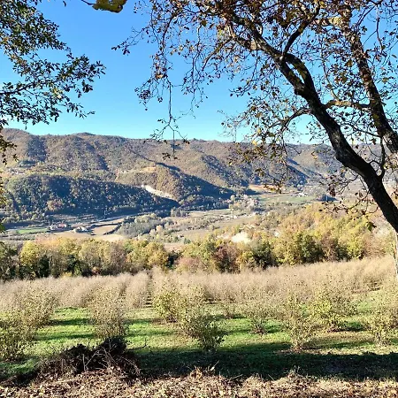 Cascina - Tra Le Nocciole *