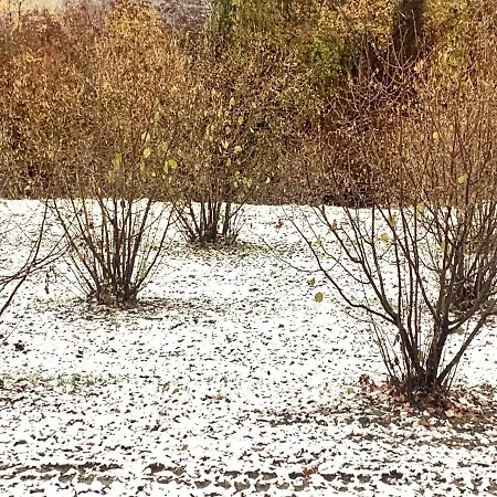 Appartamento Cascina - Tra Le Nocciole