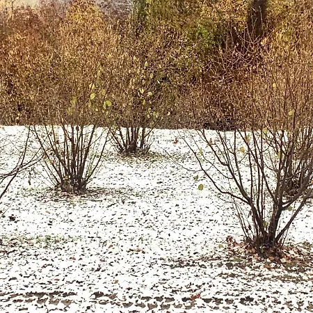 Апартаменты Cascina - Tra Le Nocciole