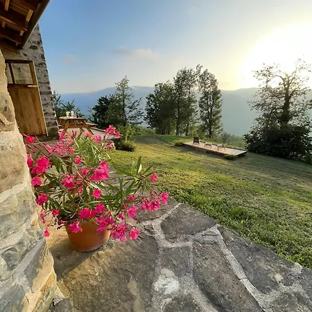 Cascina - Tra Le Nocciole *