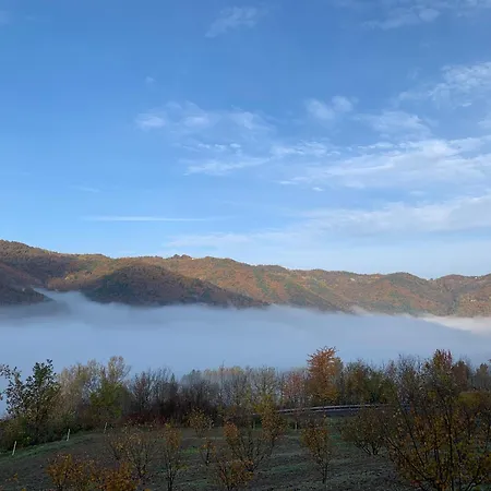 Apartment Cascina - Tra Le Nocciole Levice