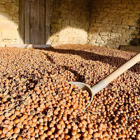 Апартаменты Cascina - Tra Le Nocciole