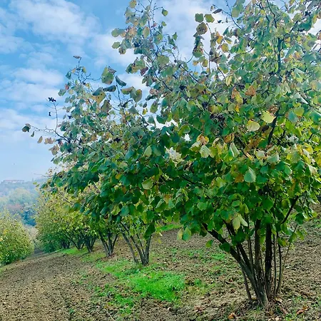 Apartament Cascina - Tra Le Nocciole