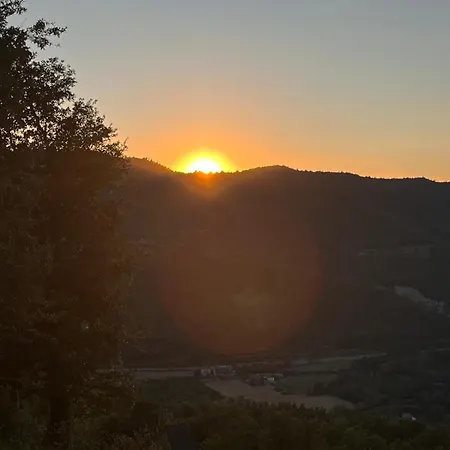 Cascina - Tra Le Nocciole Levice