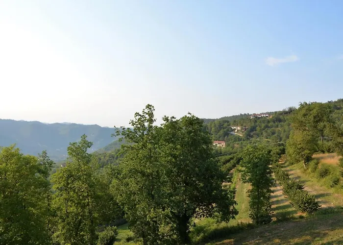 Apartment Cascina - Tra Le Nocciole Levice