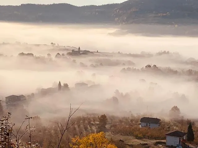 Cascina - Tra Le Nocciole * Levice