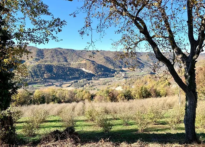 Cascina - Tra Le Nocciole *