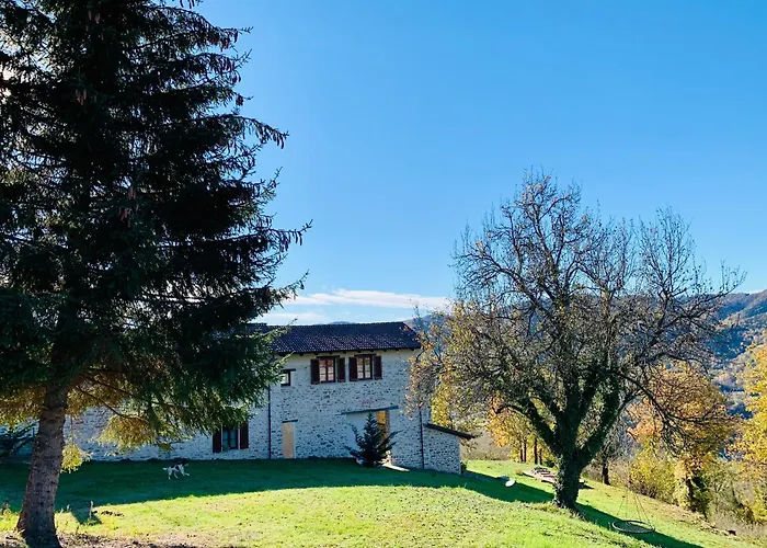 Cascina - Tra Le Nocciole Levice