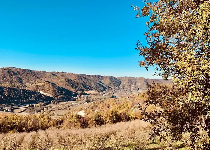 Cascina - Tra Le Nocciole